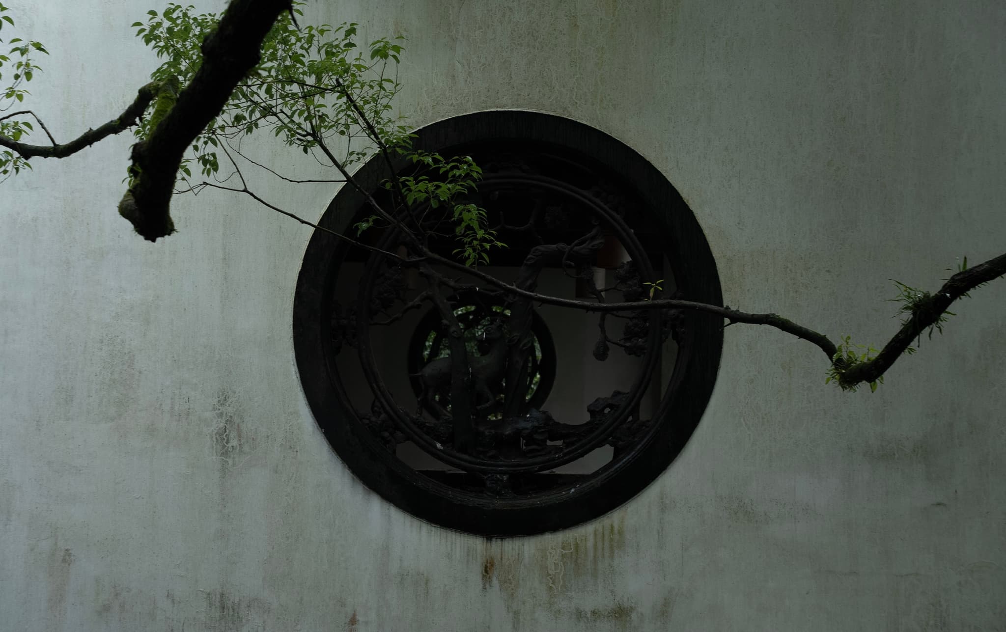 虎跑 · 白墙圆窗