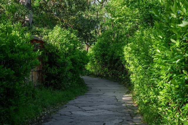 西溪湿地 · 湿地幽径