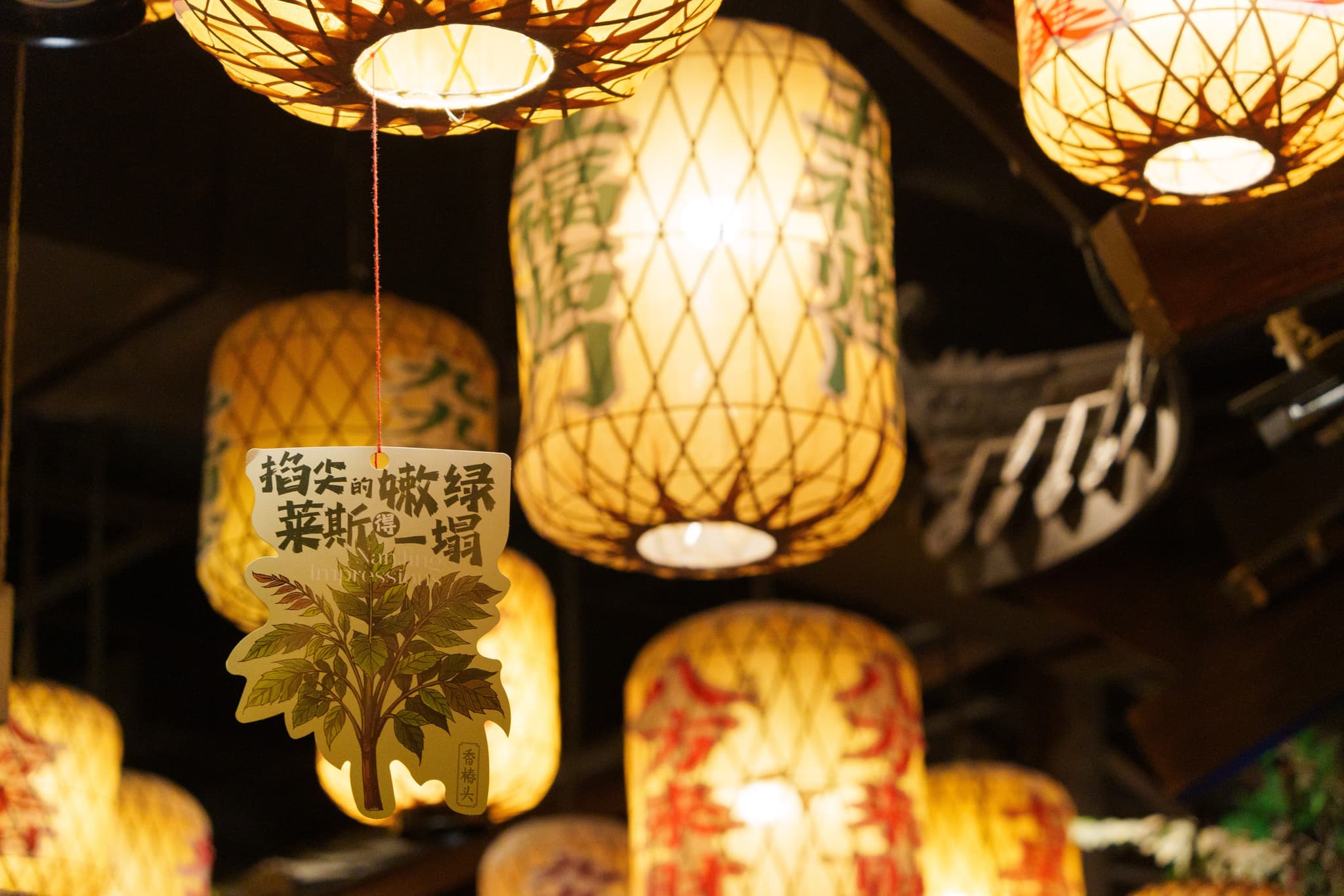 西湖 · 夜市华灯