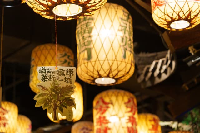 西湖 · 夜市华灯