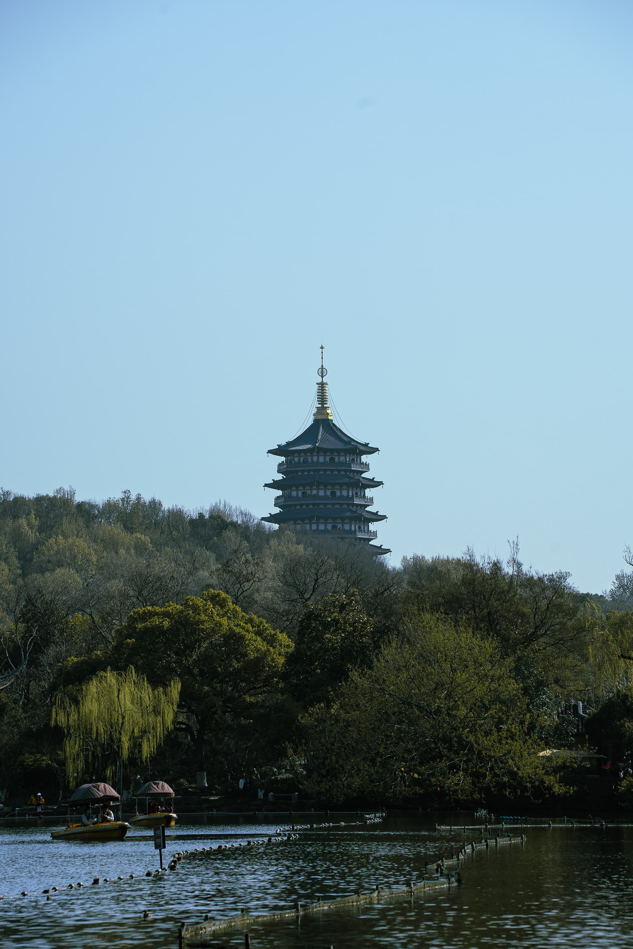 太子湾 · 春树远塔
