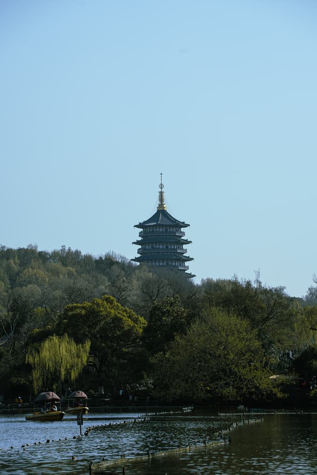太子湾 · 春树远塔