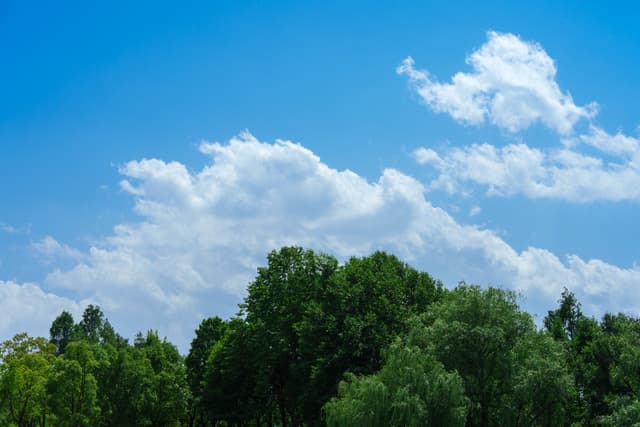 西溪湿地 · 夏日晴云