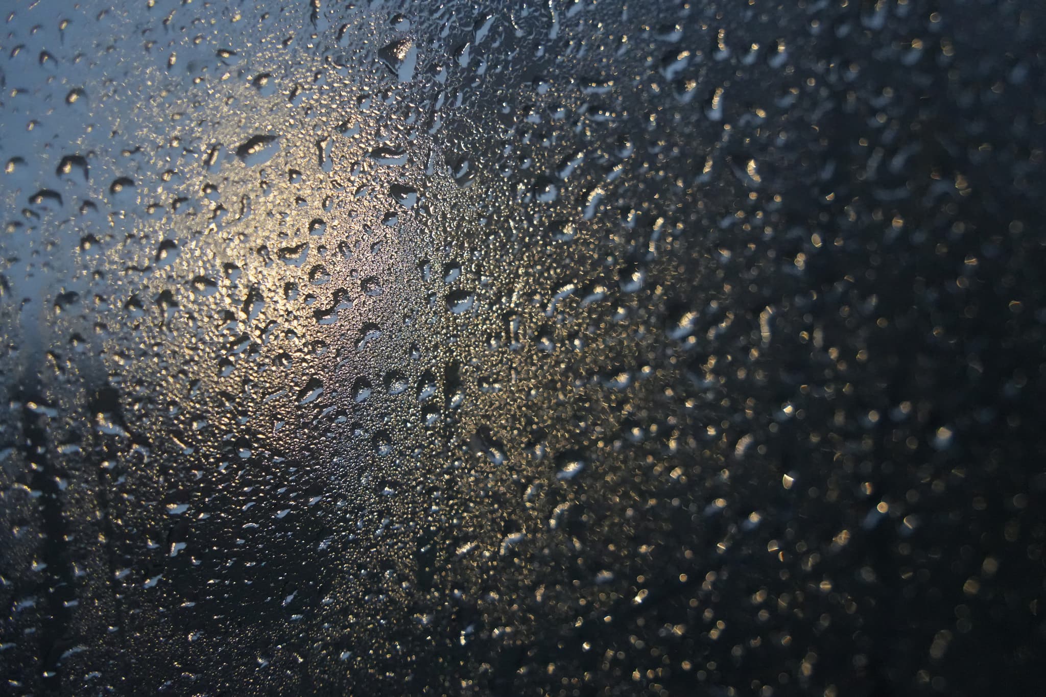虎跑 · 雨窗疏光