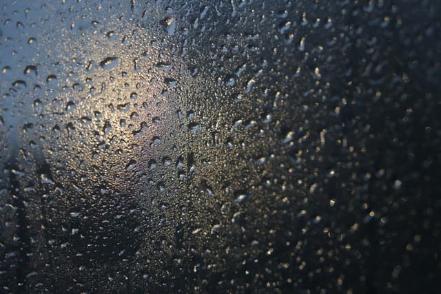 虎跑 · 雨窗疏光