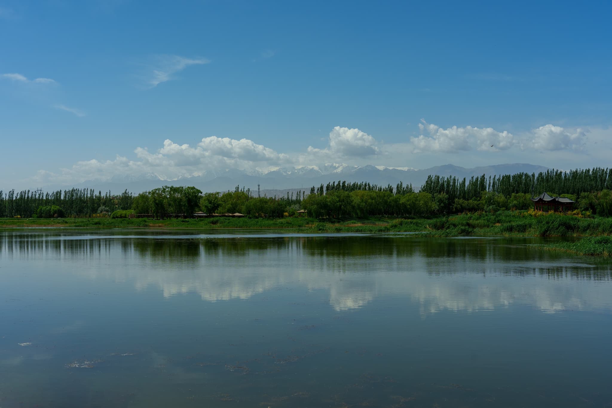 嘉峪关 · 平湖树影