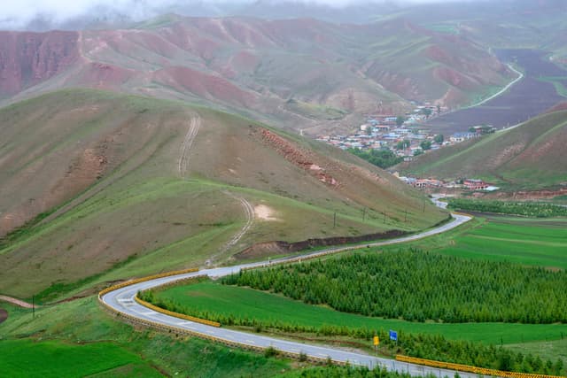 卓尔山 · 翠峦盘道