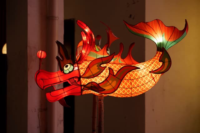西溪湿地 · 鱼龙锦色