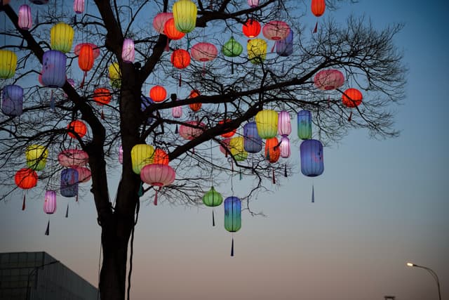西溪湿地 · 花灯初上